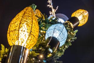 Świąteczne dekoracje na ulicach Warszawy. Iluminacja 2023 - zdjęcia