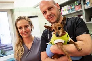 3 kg pies z kilogramowym guzem