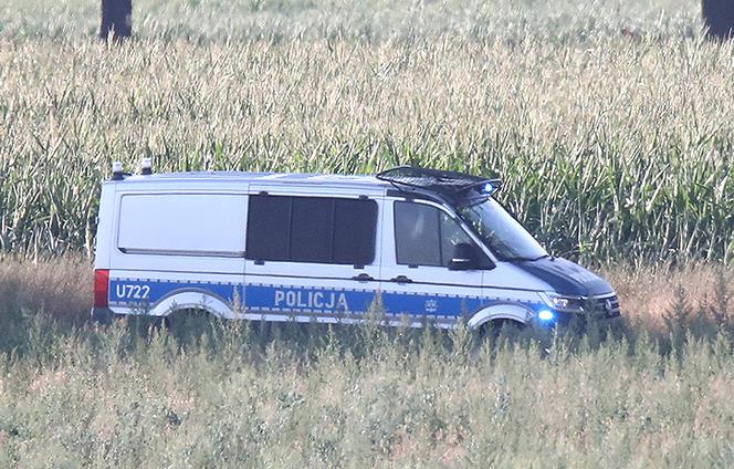 Porwanie 14-latki z Poznania. Sprawcy ogolili ją na łyso i wykorzystali. Zdjęcia