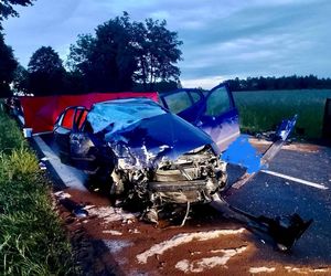 20-latka zginęła w strasznym wypadku. W drugim aucie były małe dzieci
