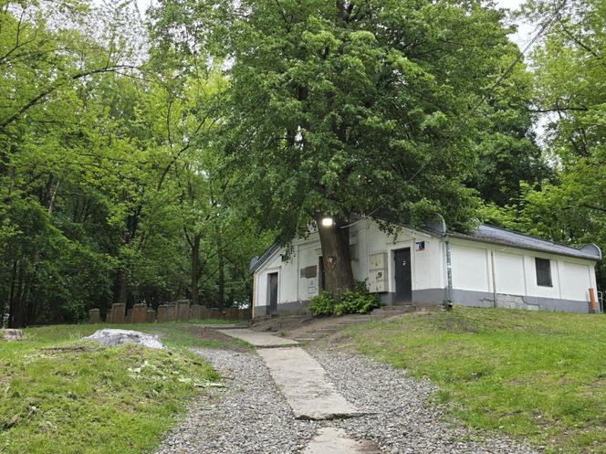 Cmentarz żydowski w Leżajsku