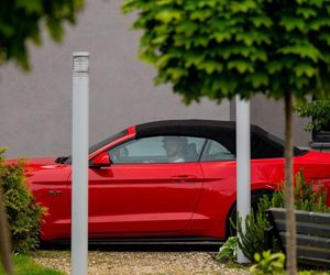 M jak miłość odc. 1880. Mariusz (Mateusz Mosiewicz)