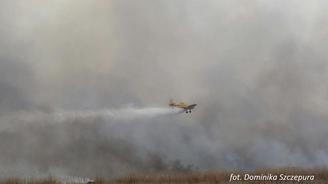 Pożar w Biebrzańskim Parku Narodowym. Samoloty z Portu Lotniczego Olsztyn-Mazury na ratunek