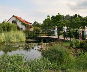 Festiwal Hanami w Powsinie. Celebruj wiosnę w japońskim stylu 