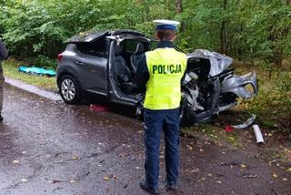 Samochód roztrzaskał się na drzewie na Kaszubach