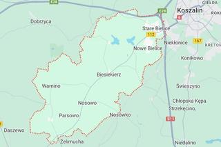 Google Maps 