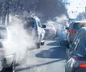 Tu Europejczycy mają dość brudu i smogu