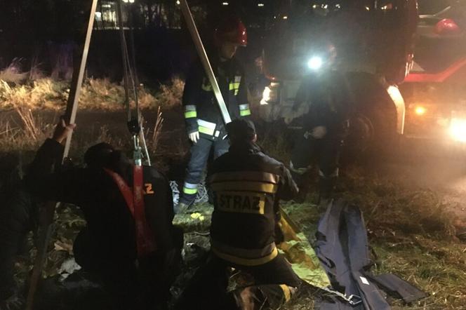 Zabrze: Strażacy uratowali psa, który wpadł do studzienki kanalizacyjnej [ZDJĘCIA]