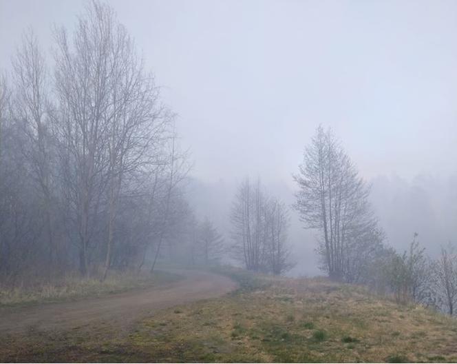 Pożar Lubańskiego Wielkiego Lasu