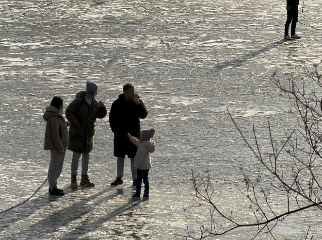 Skrajna nieodpowiedzialność. Spacerują po płytkim lodzie z dziećmi i psami. Dramat na Pradze-Południe w Warszawie