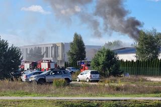 Pożar lakierni w podbydgoskim Osielsku! Na miejscu kilka zastępów straży pożarnej [ZDJĘCIA]