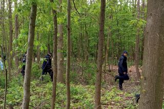 Zaginicie mężczyzny Tryńcza