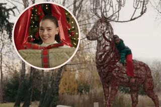 Gigantyczny renifer, 30 choinek i nie tylko. Klaudia Halejcio wydała majątek na dekoracje