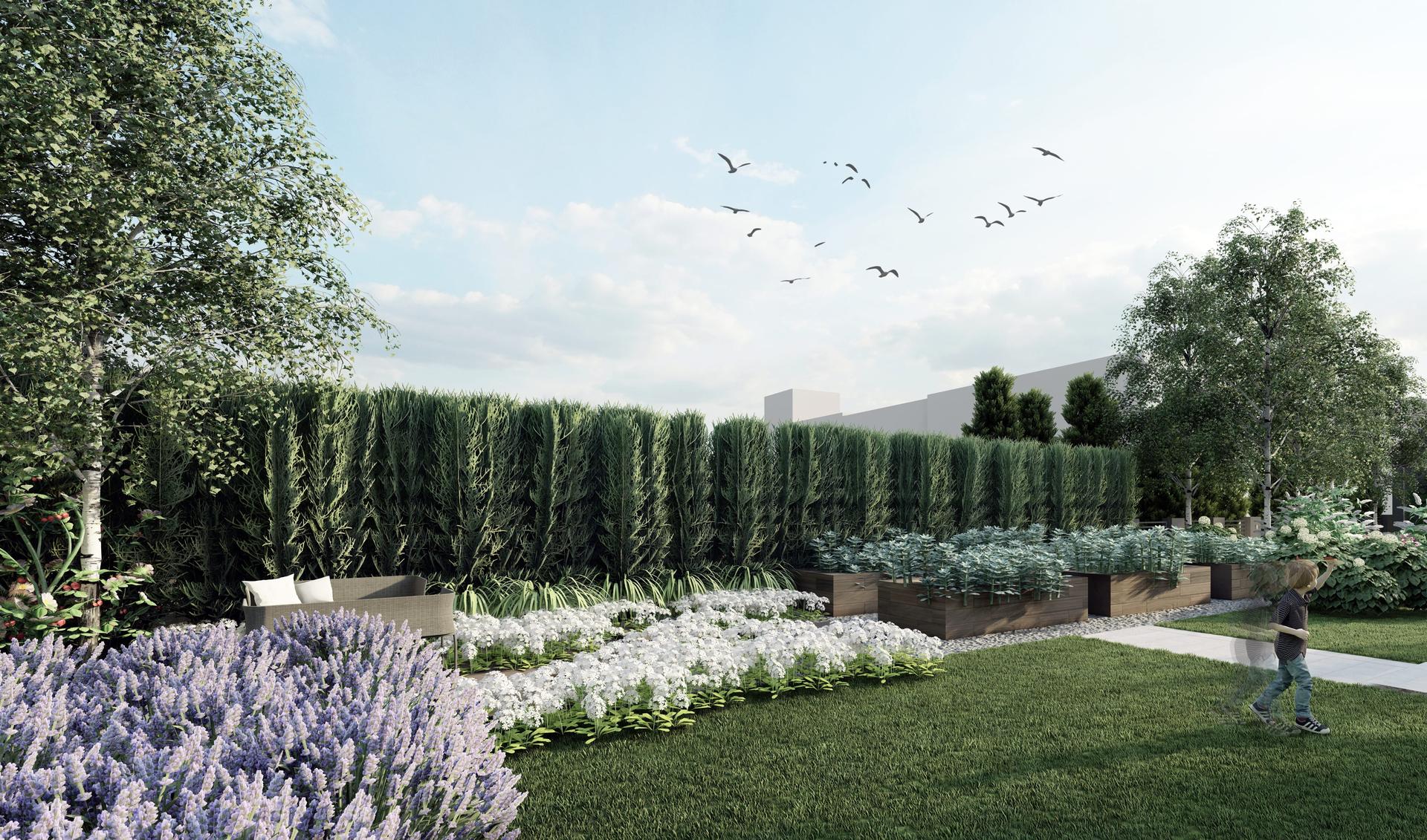 Alpaki i alpakoterapia w ogrodzie przydomowym