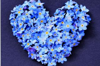 Jakie kwiaty dajemy na Dzień Matki 2024? Poznaj ich sekretne i magiczne znaczenie! 