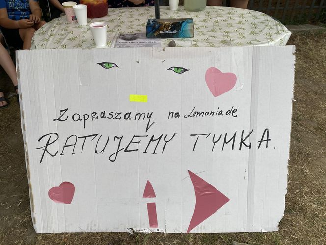 Sprzedają lemoniady, by wesprzeć zbiórkę chorego Tymka