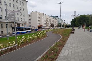 Ścieżka rowerowa przy Parku Centralnym w Gdyni