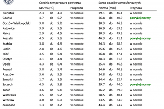 Kiedy spadnie pierwszy śnieg w 2022 roku? IMGW podał długoterminową prognozę na zimę 