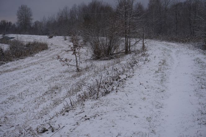 Zima w Świętokrzyskiem. Skarżysko-Kamienna (22.11.2024)