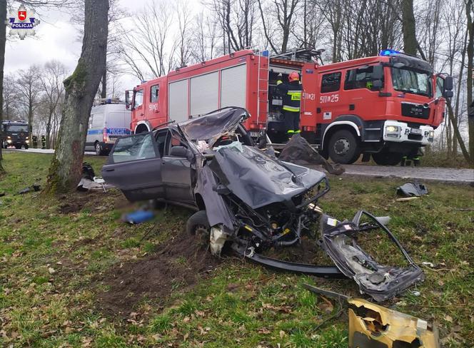 Zjechał z drogi i uderzył w drzewo