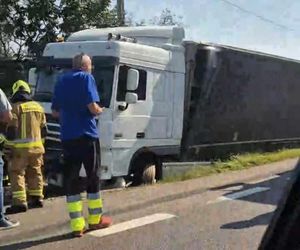  Kierowcę ciężarówki użądliła pszczoła, uderzył w przepust.