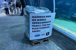 Nietypowa instalacja w łódzkim zoo. Chodzi o zwrócenie uwagi na problem