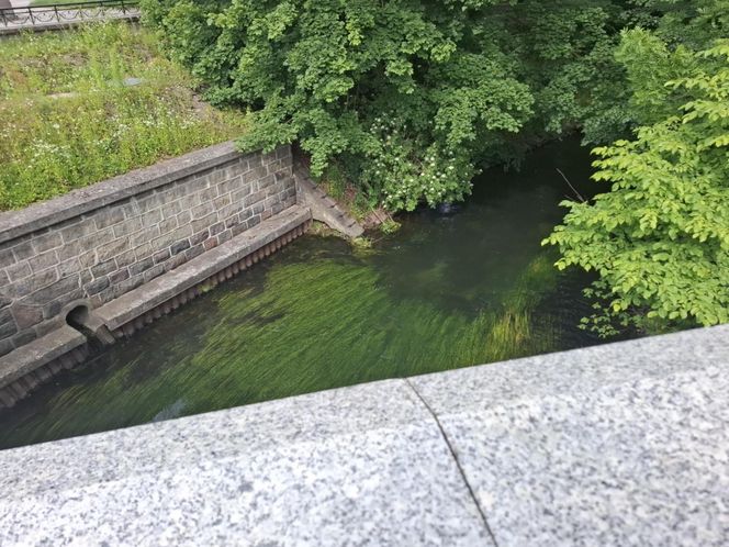 W tym mieście poczujesz się jak w Wenecji. Włoski klimat na północy Polski