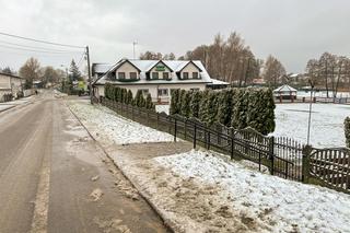 Wystraszył je huk petard. Konie, kucyki i osioł zabłąkane na środku drogi