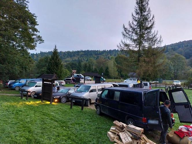 Najazd rumuńskich grzybiarzy na Podkarpaciu