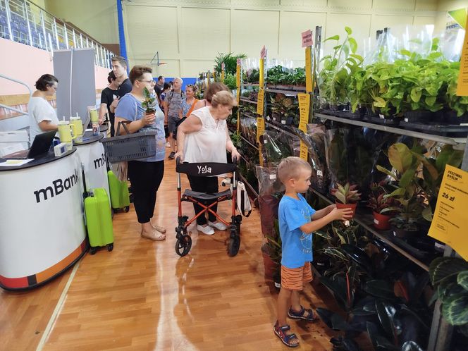 Festiwal Roślin 2025 w Siedlcach