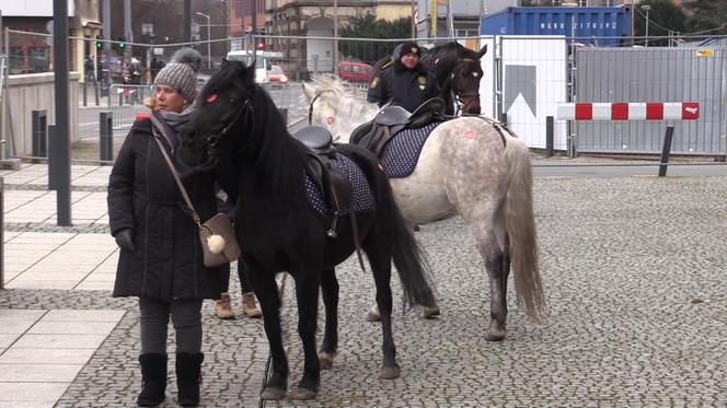 26. Finał WOŚP we Wrocławiu