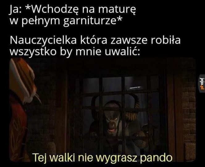 Matura - memy