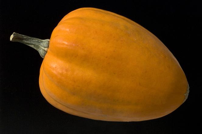 Dynia typu Acorn (dynia żołędziowa)