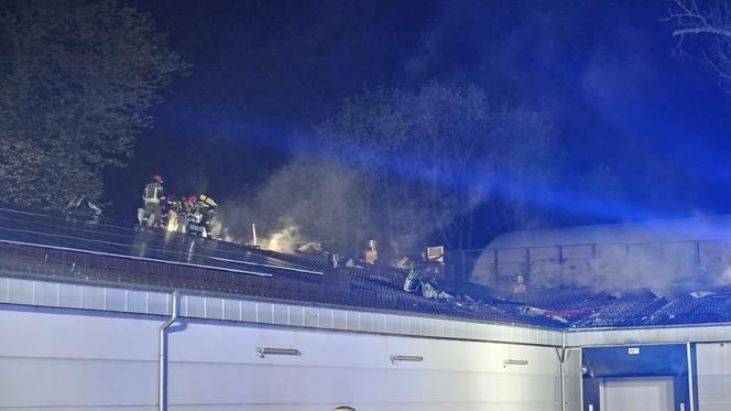 Podpalał sklepy i kontenery na terenie Jeleniej Góry. Groźny podpalacz trafił za kraty 