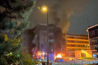 Pożar Uniwersytetu Przyrodniczego we Wrocławiu! Najpierw zapalił się śmietnik [FILM]