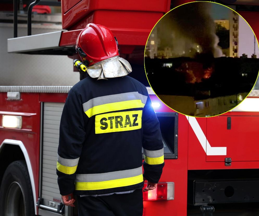 Pożar bloku w Chorzowie