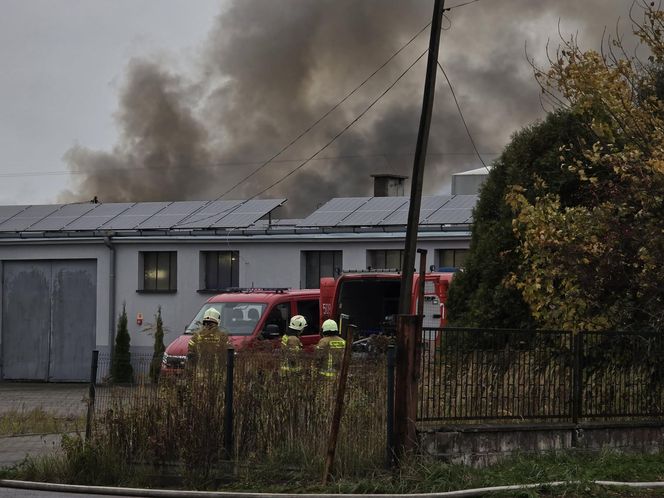Pożar hali w Sadowie