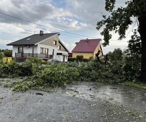 Gwałtowna burza nad Dolnym Śląskiem. Gradobicie, ulewa i mnóstwo zniszczeń