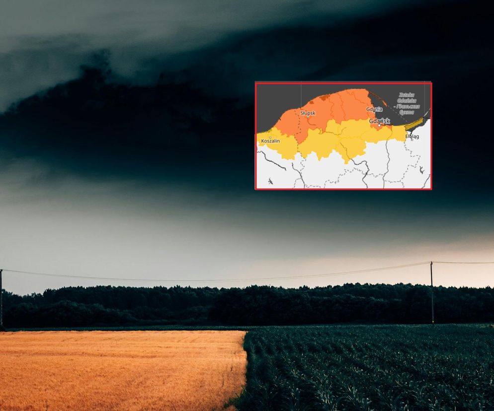 Poważne ostrzeżenie IMGW. Pogoda jak z horroru! Wichury osiągną 100 km/h