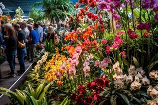 Potworne Cuda,  Światowa Wystawa Orchidei, Bonsai i Sukulentów oraz PLANTS Wielkie Targi Roślin 