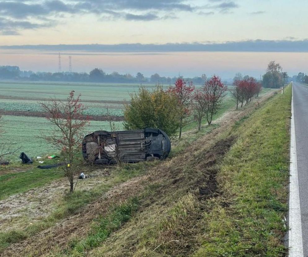 Sarny pojawiły się na drodze. Auto dachowało