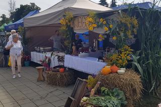 Dożynki w Biskupcu 2023. Tłumy bawiły się na święcie plonów. Zobaczcie zdjęcia!