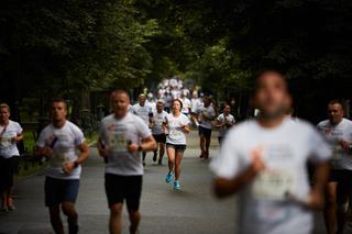 Wrocław Business Run 2020. Sprawdź trasę!