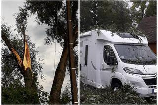 Skutki burzy w Krynkach. Złamany konar zerwał linię energetyczną i uszkodził auto
