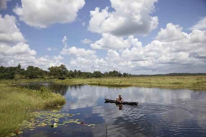 To ostatnia chwila na wakacje w kajaku! Te szlaki znajdują się na Lubelszczyźnie. Poleca je National Geographic!