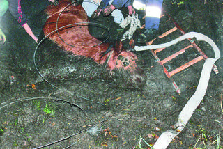 Wyciągnęli Baśkę z bagna