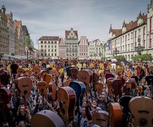 Gitarowy Rekord Świata we Wrocławiu