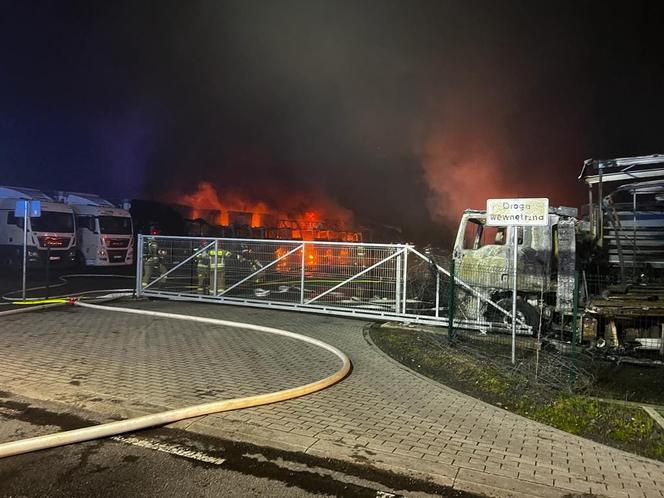 Wielki pożar w Osiecznicy na Dolnym Śląsku. Spłonęło 16 ciężarówek