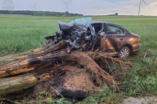 Tragedia pod Skierniewicami. 28-letni kierowca zginął po zderzeniu z drzewem