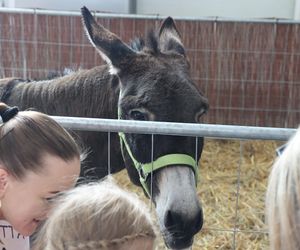 ZooPark ponownie przyciągnął do Targów Lublin tłumy miłośników zwierząt